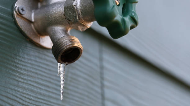 Best Plumbing Services Near Me  in Snow Hill, MD